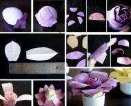 Волшебство бумажной полоски – варианты искусственных цветов